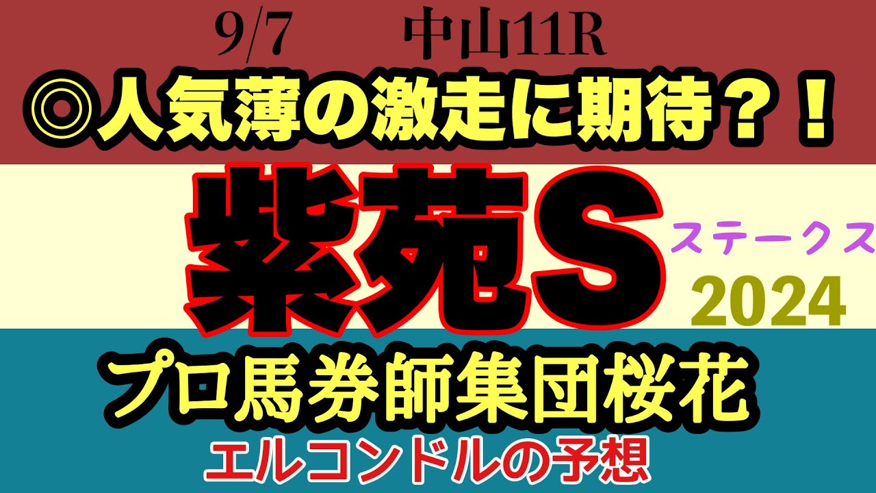 エルコンドル氏の紫苑ステークス2024予想！！小頭数のレースだが人気馬にそれぞれ不安要素あり？ならば人気薄の馬にもチャンスあり？開幕週の中山何かが起きるか！