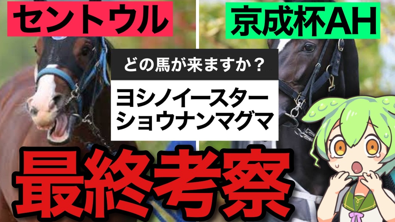 セントウルSで絶対に買いたい馬はこのウマです。【セントウルS,京成杯AH,最終予想2024】