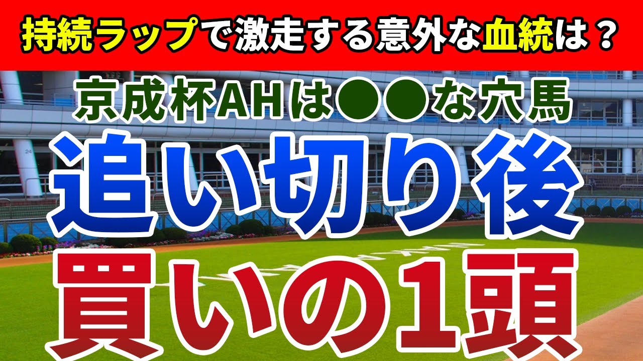 京成杯オータムハンデ2024 追い切り後【買いの1頭】公開！高速馬場＆持続ラップなら間違いない！馬券内なら手堅い実力馬とは？