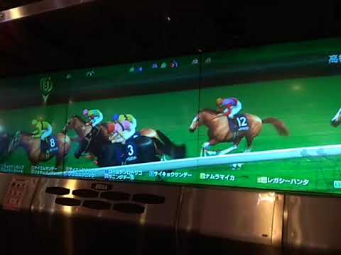 3レガシーハンタ 高松宮記念