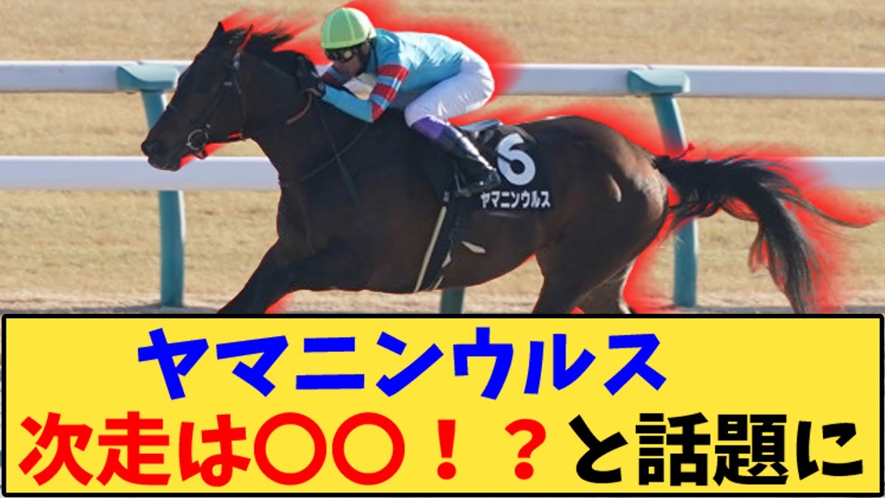 【競馬】「ヤマニンウルス　次走はあのレースか…」に対する反応【反応集】