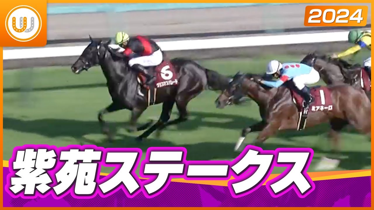 【レース映像】紫苑ステークス（GⅡ）クリスマスパレード｜ウイニング競馬 2024