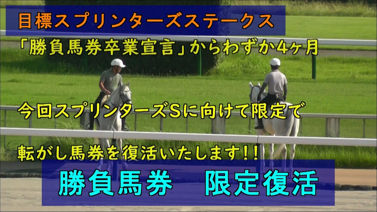限定復活　スプリンターズSに向けて転がし馬券