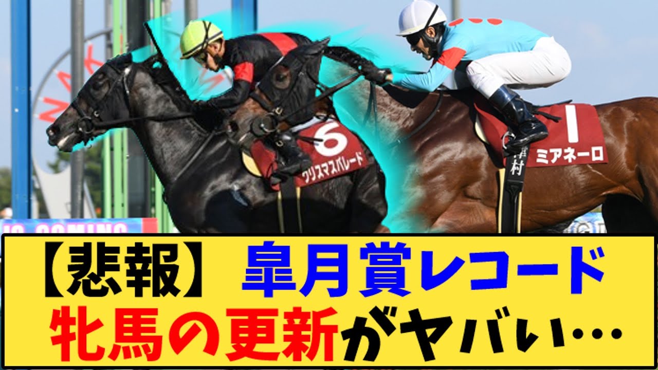 【競馬】｢紫苑ステークス、クリスマスパレードのタイムがヤバいwww」に対する反応【反応集】