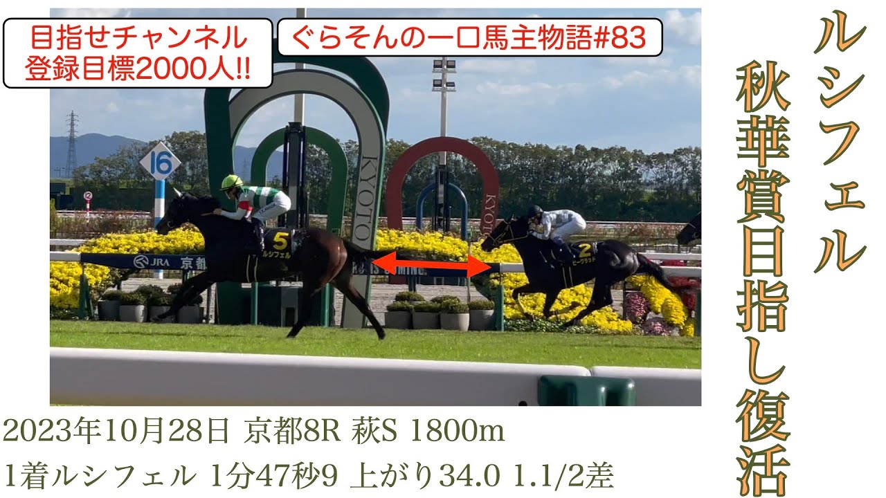 【ルシフェル】ムーンライトハンデで復活するルシフェル❗️長距離適正を示すか！？