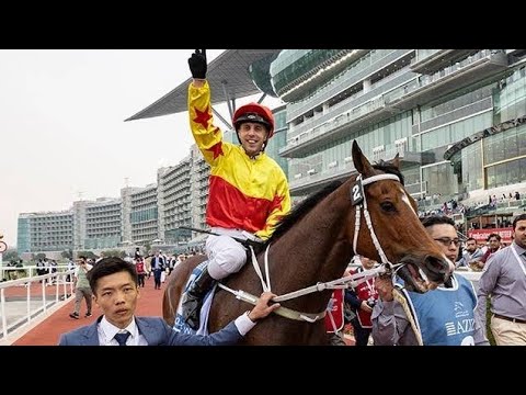 スプリンターズＳに６年ぶりに外国馬が参戦決定　香港の外国馬ビクターザウィナーとムゲンが１７日に来日へ] Japanese sports]