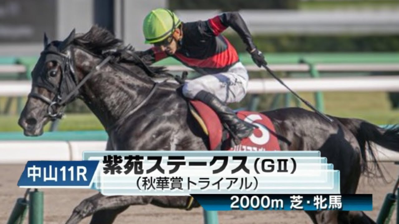 【競馬】2024年 第9回紫苑ステークス(GⅡ)【クリスマスパレード / 石川裕紀人】