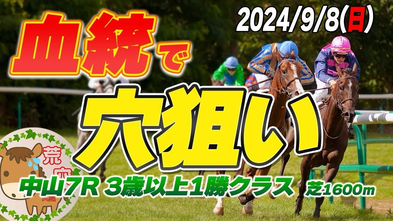 【買い目公開】　2024年9月8日　平場予想【JRA】