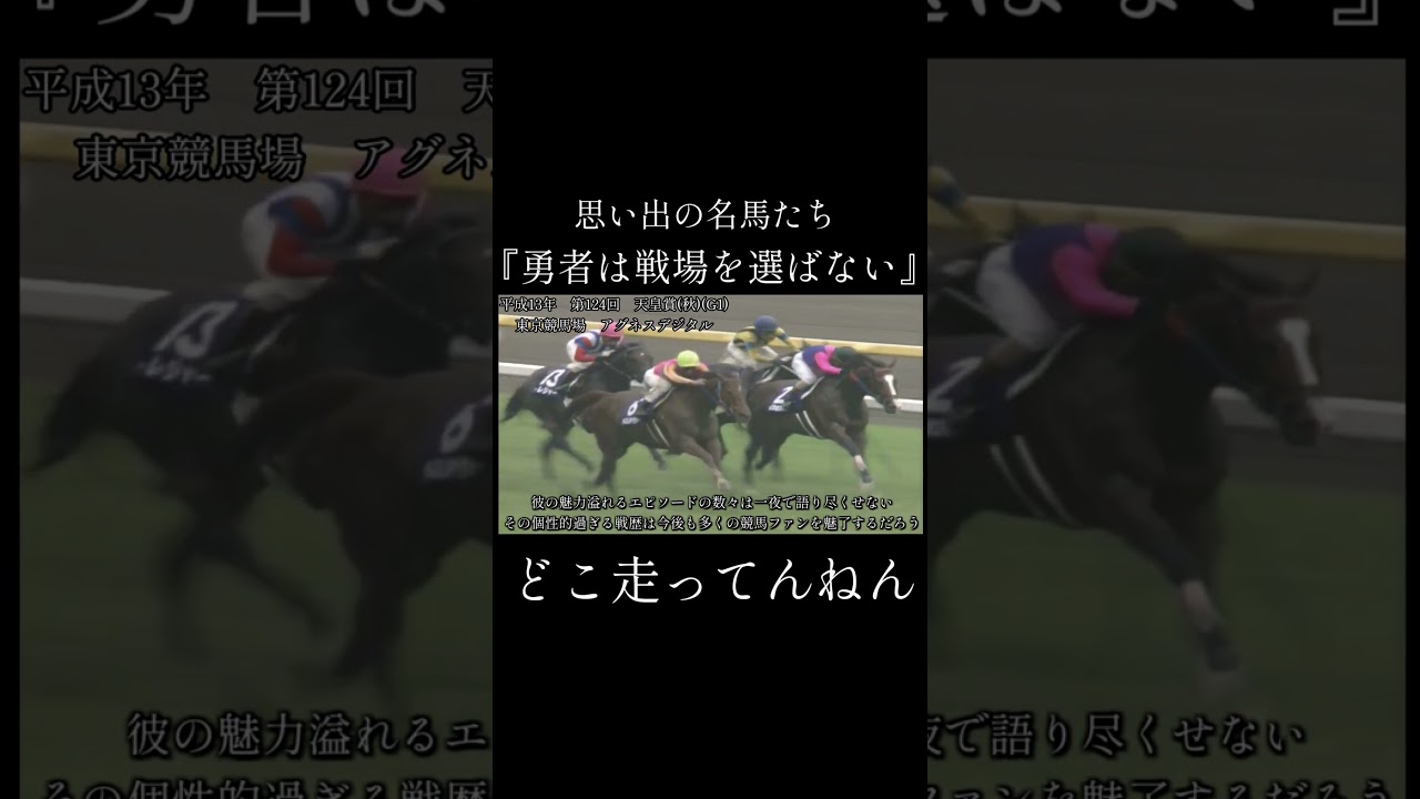 アグネスデジタル 天皇賞(秋) #競馬 #アグネスデジタル #思い出の名馬たち#天皇賞秋 #shorts
