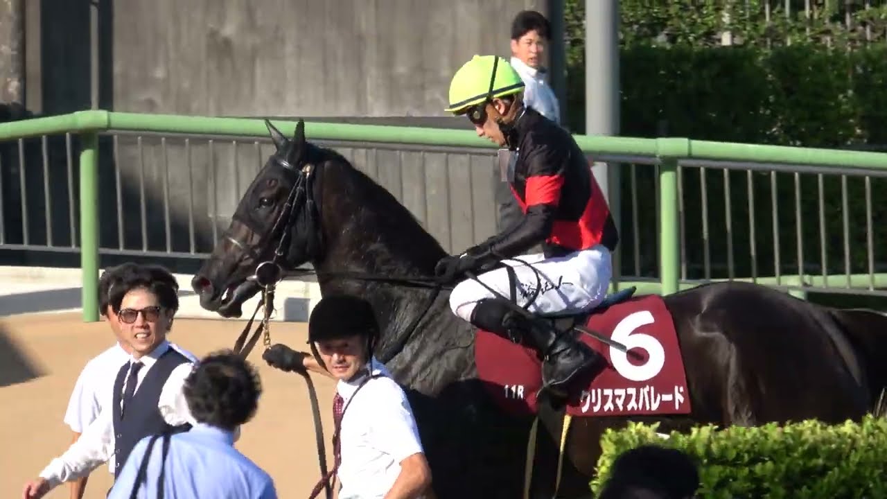 【紫苑ステークス2024】クリスマスパレードがレコード勝ちで秋華賞へ 現地映像