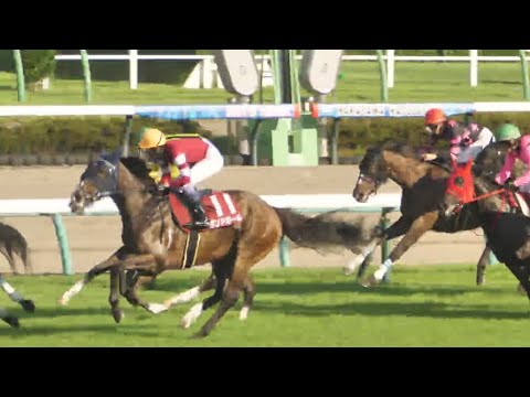 【武豊】ボンドガール 紫苑Sは秋華賞への脚ならしか、後方からの競馬で鋭く伸びてギリギリ3着に滑り込む