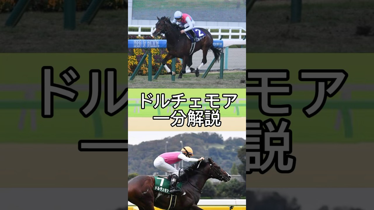 【競走馬解説】にわかが2022年2歳王者、ドルチェモアについて1分で解説　#競馬　#競走馬　#解説　#ドルチェモア　#朝日杯フューチュリティステークス