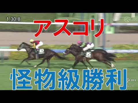 京成杯オータムハンデキャップ レース回顧  2024 アスコリピチェーノの強さ目立つ　セントウルSの回顧も　スプリンターズSで狙える馬は？