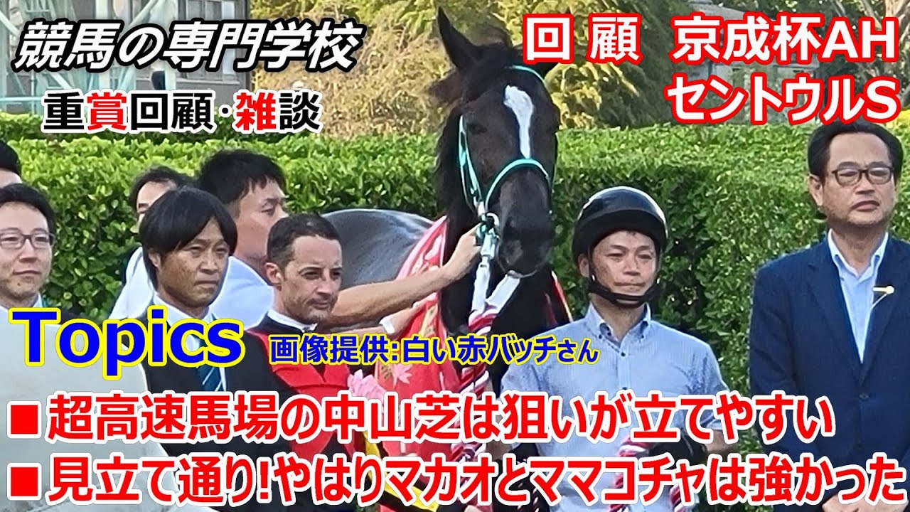 【京成杯AH2024 セントウルS2024】回顧･雑談 超高速の中山芝の考え方とスプリンターズSへ向けての展望