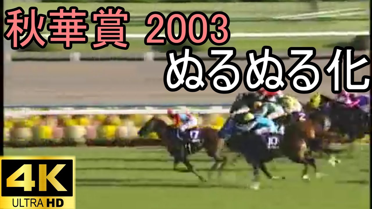 スティルインラブ 秋華賞 ぬるぬる化で見よう 2003 conv to 60fps