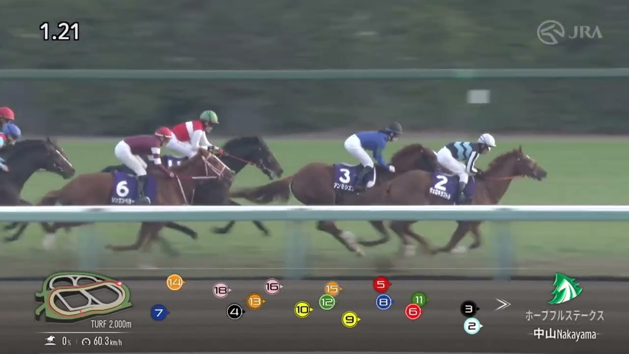 JRA公式チャンネル 2023年 ホープフルステークス（GⅠ） ｜ レガレイラ ｜ JRA公式 MQEzVHb9rVo