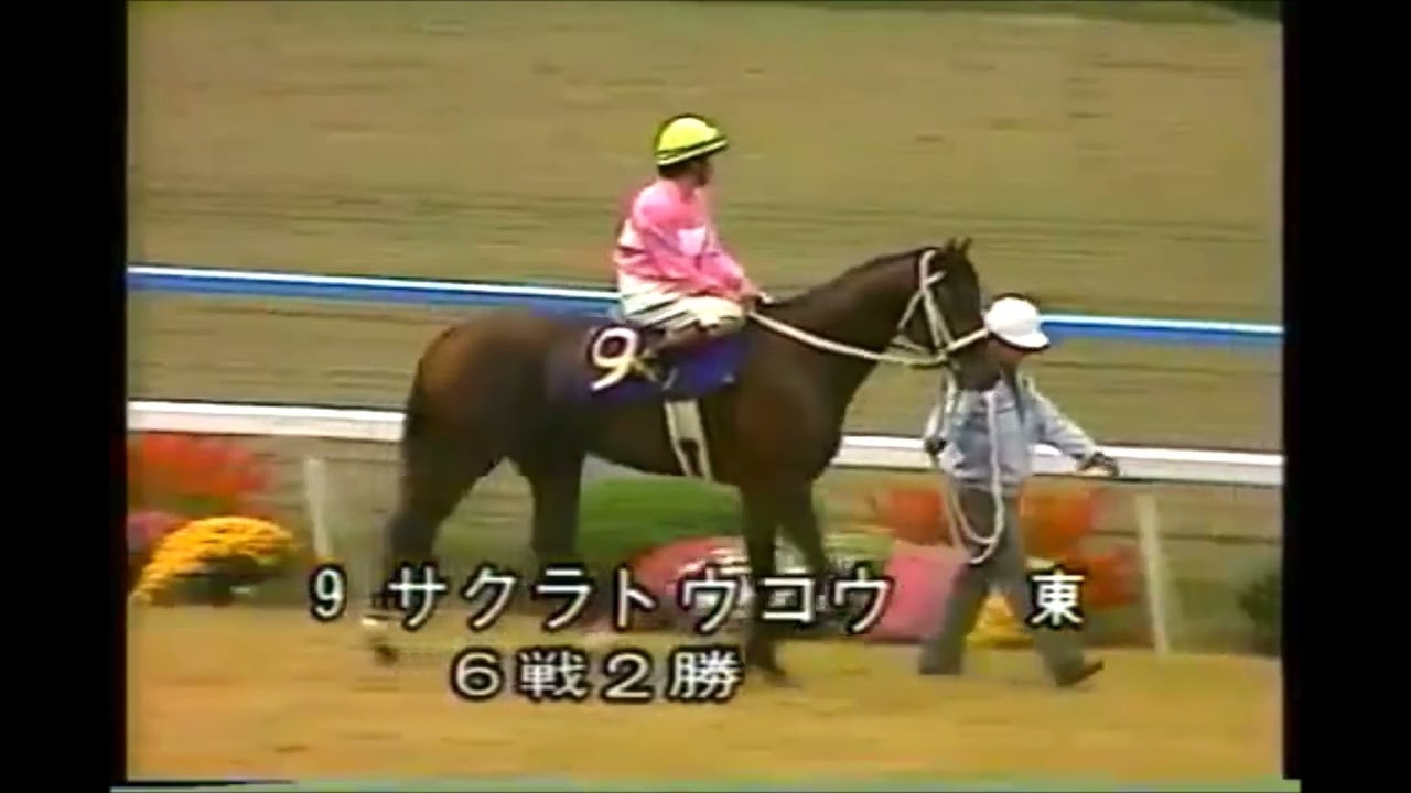 第45回　菊花賞（ＧⅠ）本馬場入場　1984.11.11　出走馬：シンボリルドルフ、ゴールドウェイ、ニシノライデン、スズマッハ、フォスターソロン、ハーバークラウン、マチカネホンドーリ、リキサンパワー他