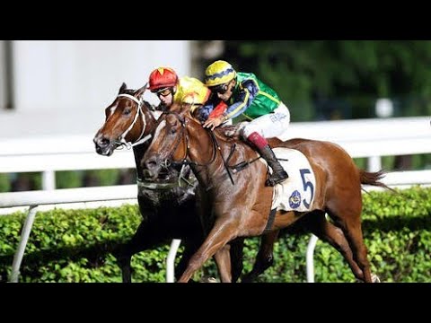 【注目馬動向】ウインカーネリアンが予定していたスプリンターズＳを回避　次走はスワンＳを三浦皇成騎手で予定