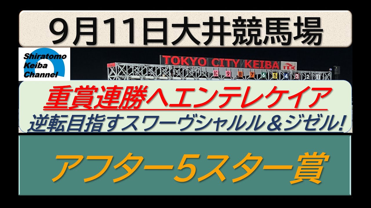 【競馬予想】SⅢアフター５スター賞！～２０２４年９月１１日 大井競馬場 ：９－２０