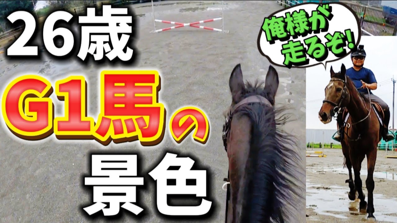 G1馬を背中の上から撮影！まるでジョッキーカメラ！？ツルマルボーイ様に乗り…走る様子を撮影してみました。【ツルマルボーイ様のシモベ】