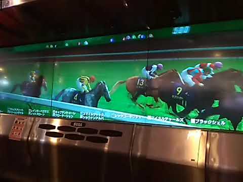 1テイエムオペラー 皐月賞