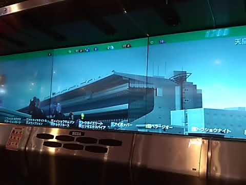 9ベラージオー 天皇賞春