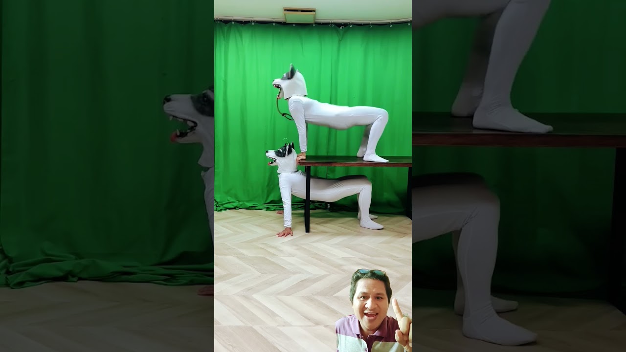 Attractions agt #dog #funnyshorts #funny #doglover #comedy #agt #ジャパンカップ2022 #viralvideo #shorts