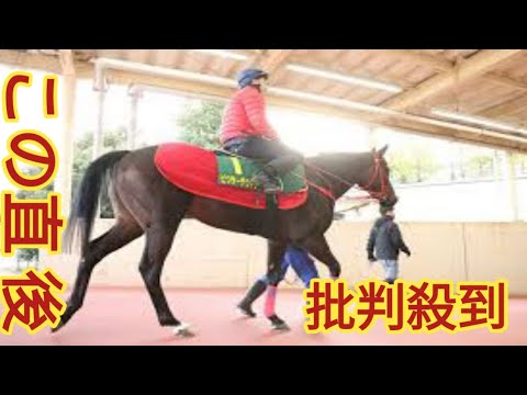 スプリンターズＳ】本気の遠征だ！香港馬ムゲンに帯同馬アイランドサプライズの存在が判明