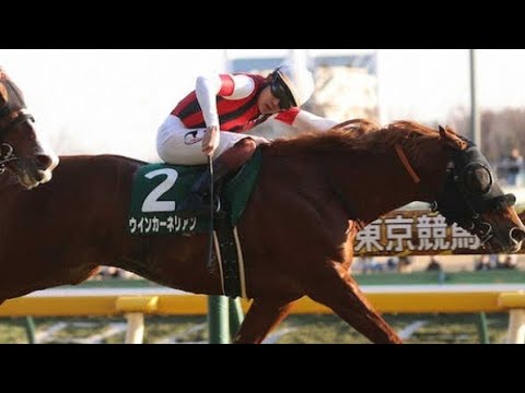 ウインカーネリアンがスプリンターズS回避…スワンSへ、春は高松宮記念4着
