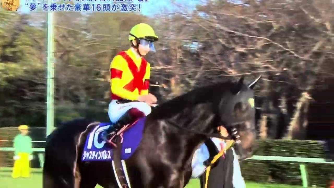 2023年 有馬記念 ファンファーレ🎶通常ver.