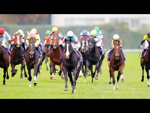 今年の“キングジョージ”を制したゴリアットがジャパンカップ参戦へ