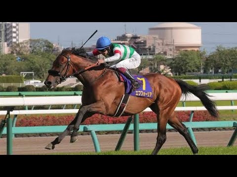 天皇賞(秋)・ジャパンC・有馬記念は入場券の当日現金発売を実施せず JRAが発表