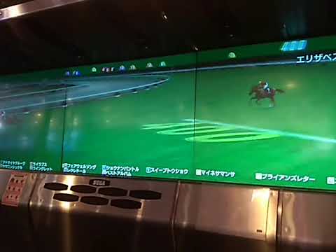 R1フェアウェルソング エリザベス女王杯