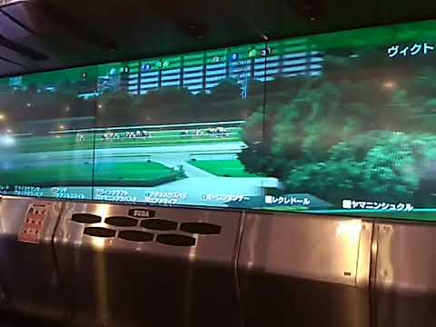 1アリダ ヴィクトリアマイル