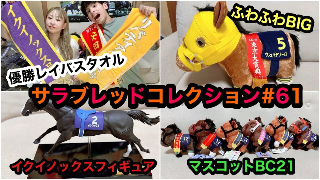 【サラブレッドコレクション#61】イクイノックスのリアルフィギュア☀️BIGはウシュバテソーロ🏇優勝レイバスタオルひやっぱりいいなー😊