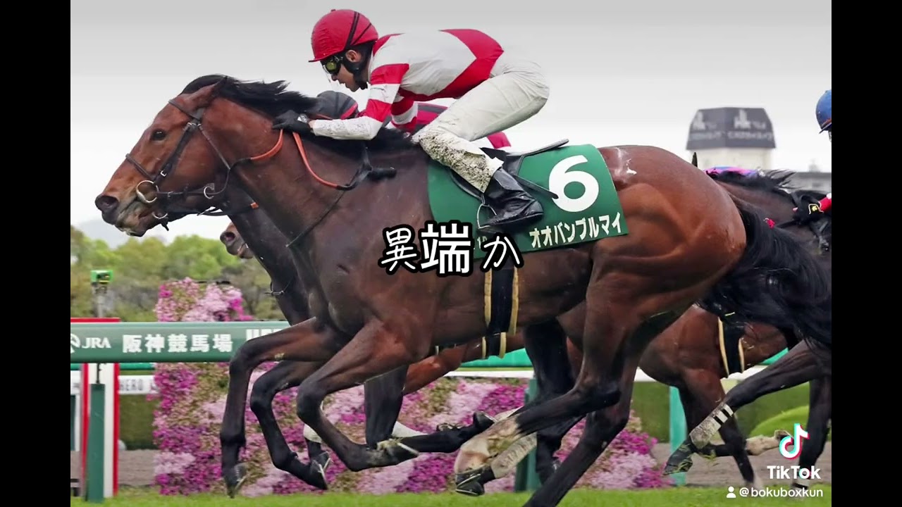 スプリンターズステークス2024のCM