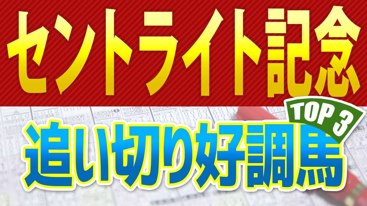 セントライト記念（2024）追い切りが抜群だった「トップ3」はこの馬だ🐴 ～JRA競馬予想～