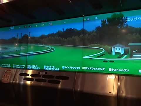 11フェアウェルソング エリザベス女王杯引退