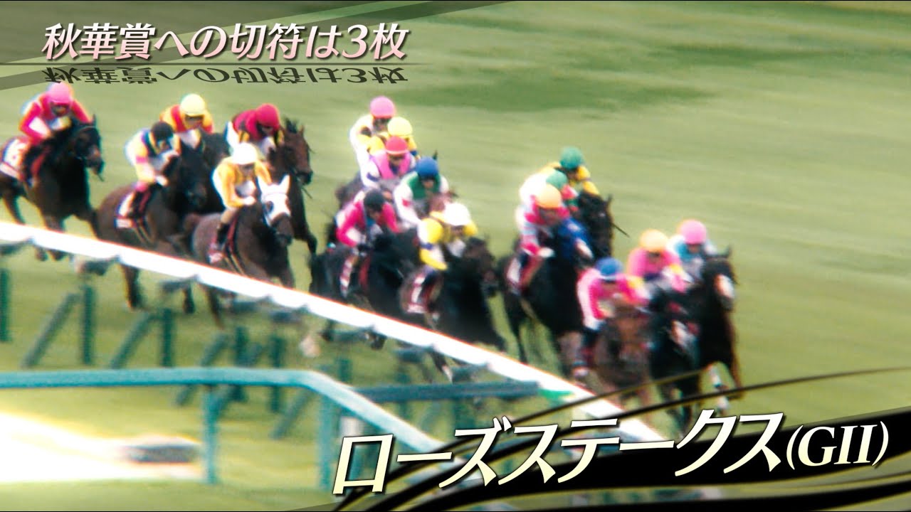 いざ秋華賞へ！権利獲得に燃える菊沢厩舎が期待馬を送り込む！｜菊沢隆徳調教師に直撃SP