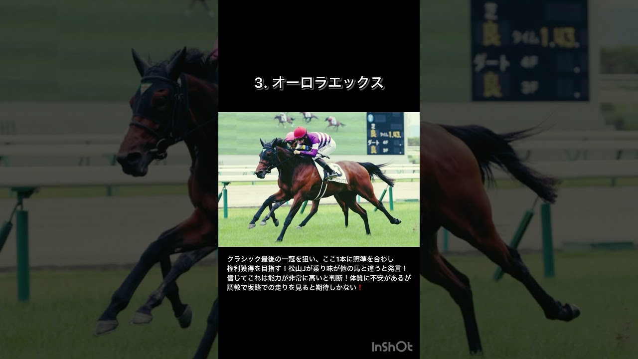【ローズステークス】軸馬予想！秋華賞への切符を取るために、このレース1本に絞ってきた遅れてきた能力馬から勝負❗️#競馬予想 #ローズS予想 #ローズS本命 #shorts