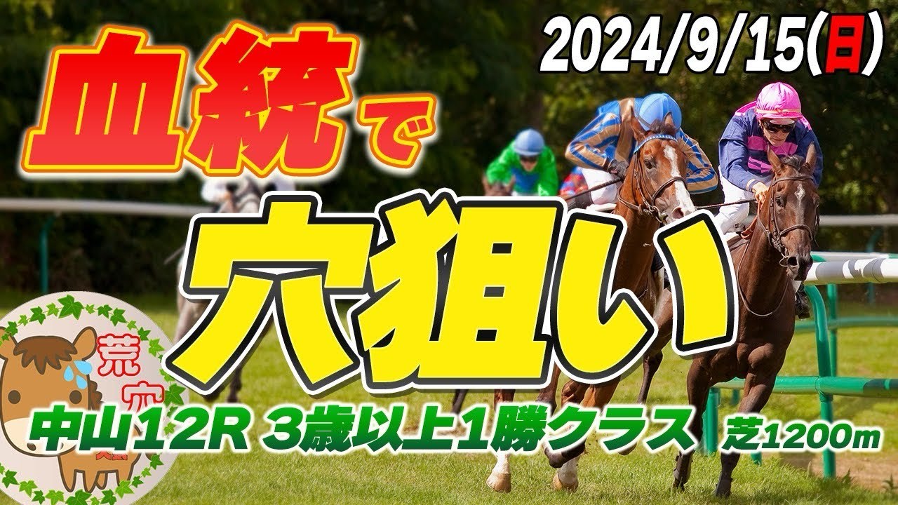 【買い目公開】　2024年9月15日　平場予想【JRA】