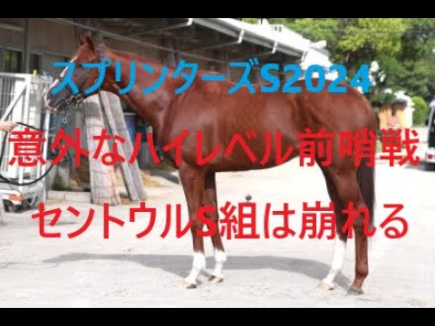スプリンターズステークス 2024 前哨戦で意外なハイレベルレース セントウルS組は危険