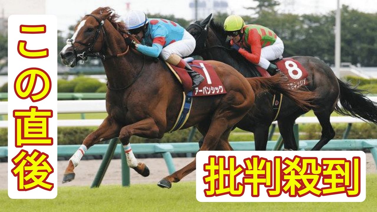 アンカツさん「菊花賞で再戦ならアーバンシックが優勢やろけど…」セントライト記念の勝ち馬評価も上位2頭は「互角やね」