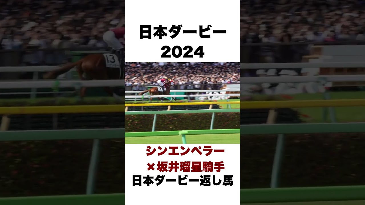 シンエンペラー返し馬【日本ダービー2024】