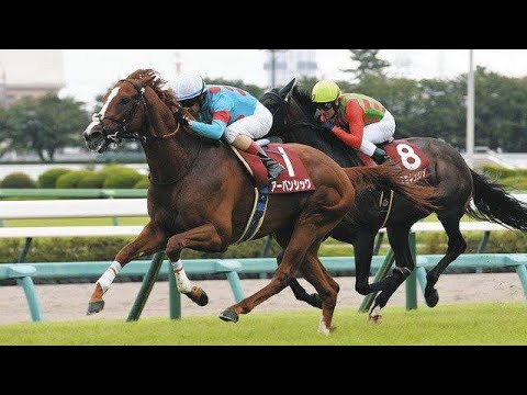 アンカツさん「菊花賞で再戦ならアーバンシックが優勢やろけど…」セントライト記念の勝ち馬評価も上位2頭は「互角やね」 Tokyo Queen