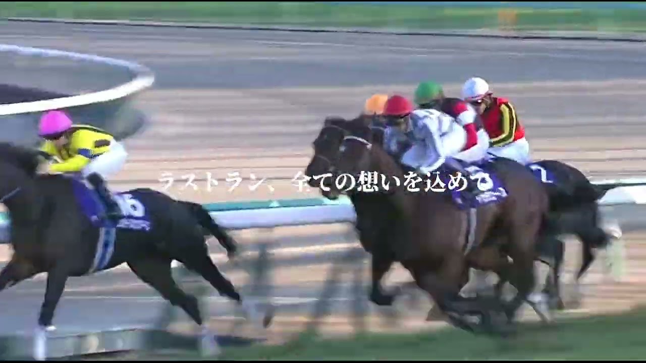 逆襲のドウデュース 2023有馬記念#競馬 #有馬記念 #スポーツ #サッカー#オリンピック