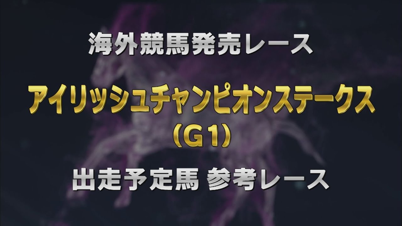 【参考レース】2024年 アイリッシュチャンピオンステークス（G1） ｜ JRA公式