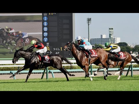 【重賞】第9回紫苑S(秋華賞トライアル)実況[優勝馬　クリスマスパレード　石川裕紀人騎手]