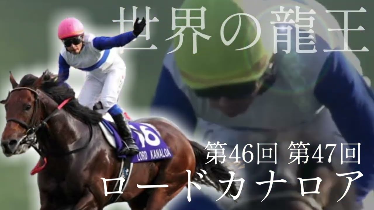 競馬ファンが選ぶ『スプリンターズS(G1)』投票