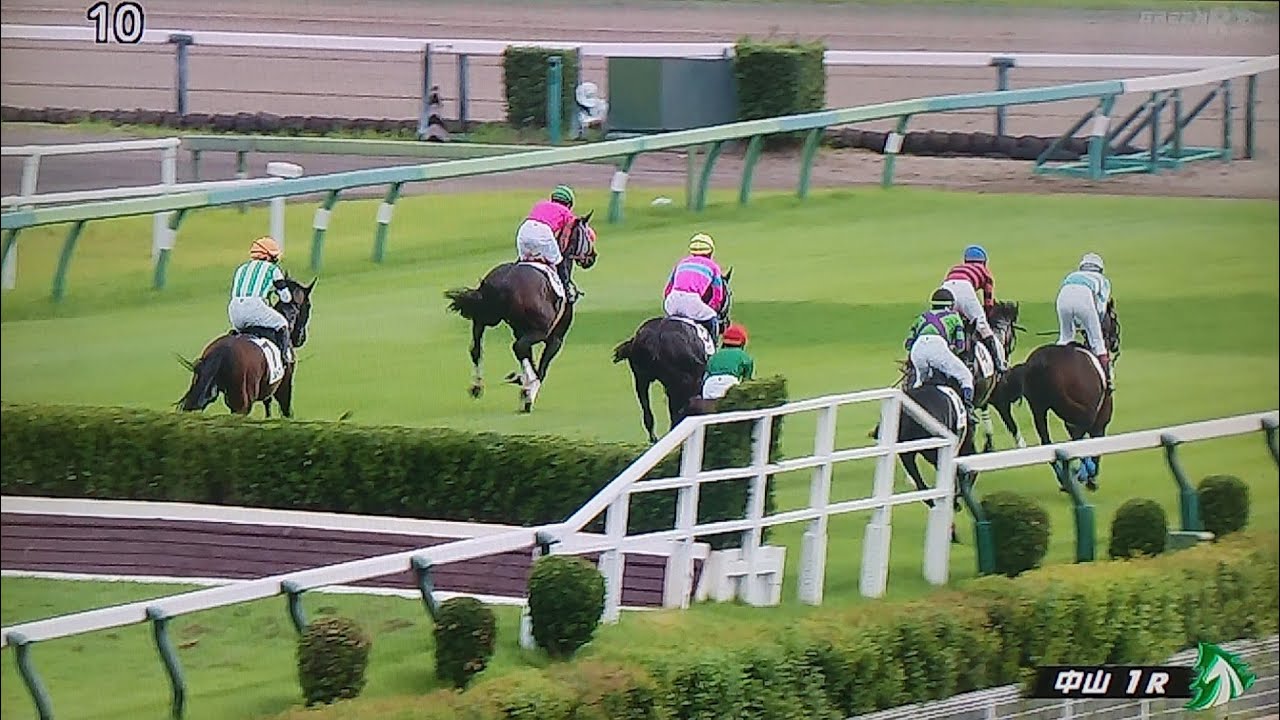 中山1レース障害未勝利 ピンポイントドロー